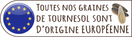 Graines de tournesol d'origine européenne